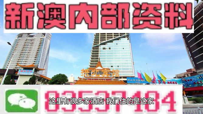 澳门与香港精准资讯大全，释义解释与落实策略
