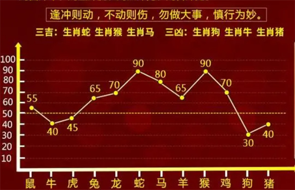 白小姐一肖一码中100%命中，全面释义与解释落实