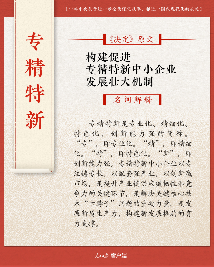 一码一肖一特一中，词语释义解释与落实