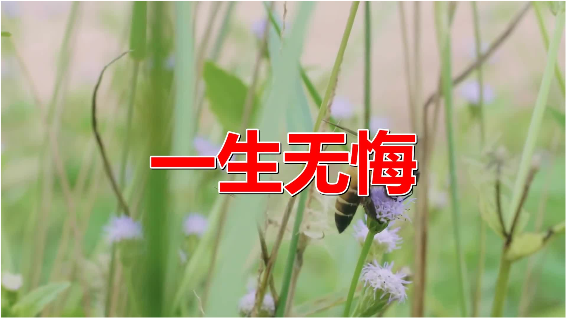 重温经典老歌，那些值得聆听的美好旋律