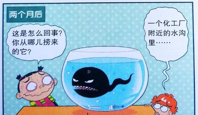 蝌蚪音乐网最新骚麦，探索音乐新潮的魅力